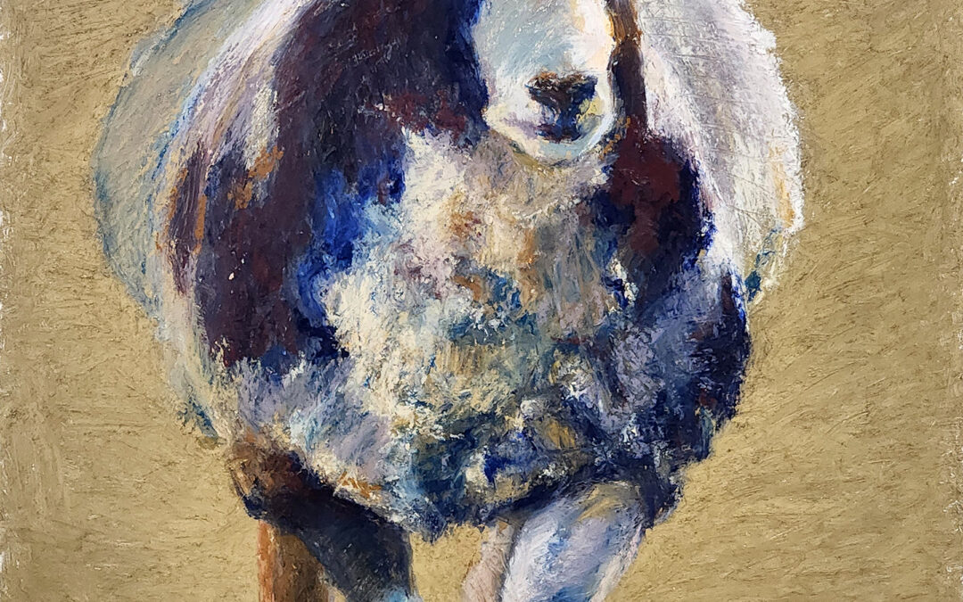 Carolyn Letvin